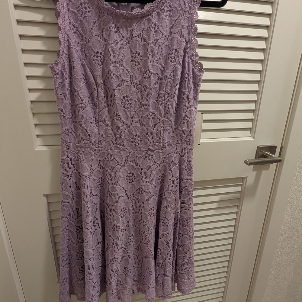 NWT Pale Violet Lace Dress City Vibe